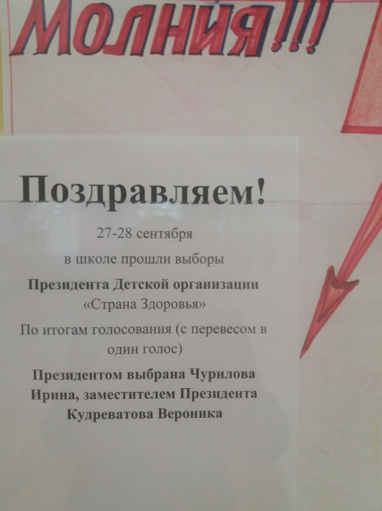 Выборы президента Детской организации «Страна Здоровья».